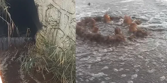 İzmir'e milyon liralık yeni bir atık su cezası daha! haberi