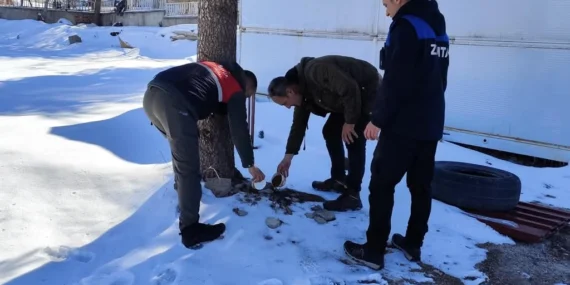 Malatya'da sokak hayvanları unutulmadı haberi