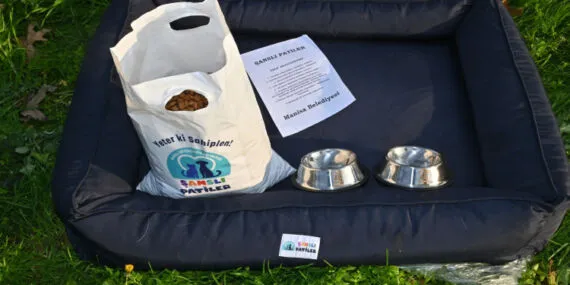 Manisa Büyükşehir'de hayvan sahiplenenlere destek haberi