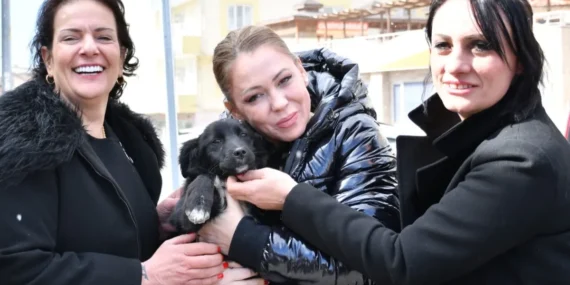 Manisa’da sokak hayvanları için ortak akıl haberi