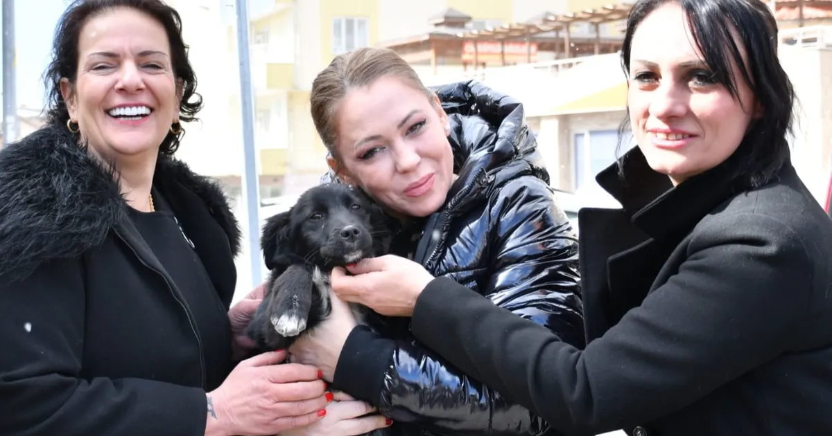Manisa’da sokak hayvanları için ortak akıl haberi