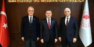 Marmarabirlik: Dane zeytine prim desteği kaldırılmamalı! Bakan Yumaklı'ya rapor sunuldu haberi