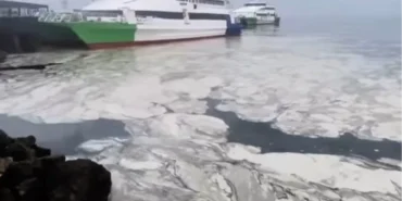 Marmara’nın çığlığına Bursa'dan ses oldular! Başkan Bozbey: Duymazdan gelemeyiz haberi