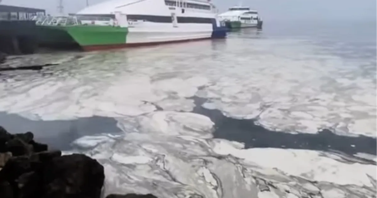 Marmara’nın çığlığına Bursa'dan ses oldular! Başkan Bozbey: Duymazdan gelemeyiz haberi