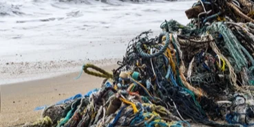 Mavi sulardan 224 futbol sahası büyüklüğünde hayalet ağ çıkarıldı! Temizlemekle bitmiyor! haberi