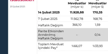 Merkez'in rezervleri rekor kırdı haberi