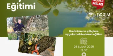 Muğla Milas'ta çiftçilere uygulamalı eğitim haberi