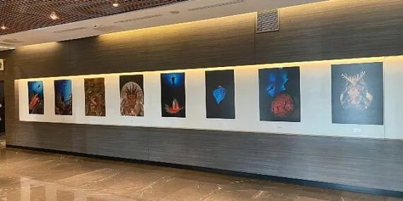 “Okyanusların Mirası” Sualtı Fotoğraf Sergisi Memorial Sanat Galerisi’nde haberi