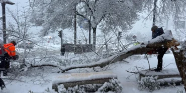 Ordu’da şiddetli kar, ağaçlara zarar verdi haberi