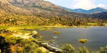 Proje Evi Kooperatifi'nden evrensel imza haberi