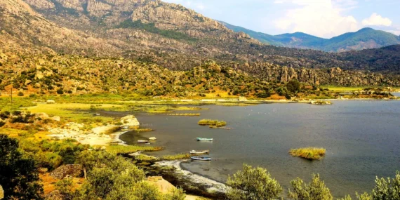 Proje Evi Kooperatifi'nden evrensel imza haberi