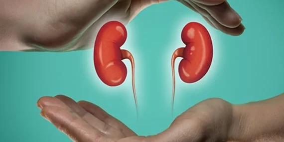 Sakarya’da böbrek sağlığı anlatılacak haberi