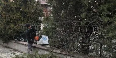 Şehir Genelinde Ağaç Budama Çalışmaları Sürüyor haberi