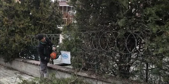 Şehir Genelinde Ağaç Budama Çalışmaları Sürüyor haberi