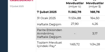 TL mevduatı 11,5 trilyon liraya ulaştı haberi