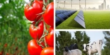 Tarıma dayalı yatırımlarıda hibelere ilişkin kriterler netleşti haberi