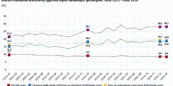 Tüik: Mevsim etkisinden arındırılmış işsizlik oranı %8,4 seviyesinde gerçekleşti haberi
