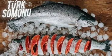 Türk somonu ihracatı 5 yılda 17 kat arttı haberi