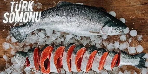 Türk somonu ihracatı 5 yılda 17 kat arttı haberi