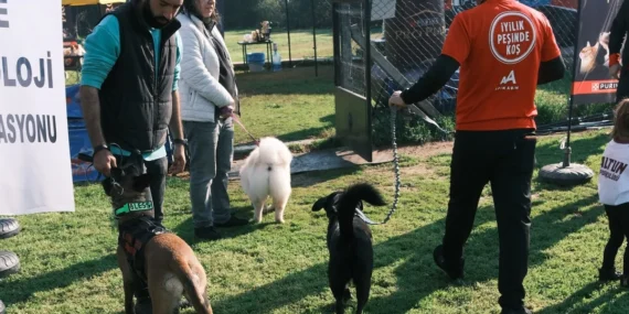 Türkiye’de ilk kez Köpekli Labirent Oryantiring yarışması yapıldı haberi