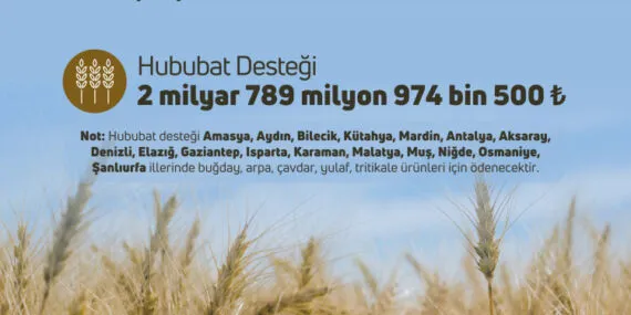2,8 milyar TL'lik hububat desteği 21 Mart'ta hesaplarda haberi