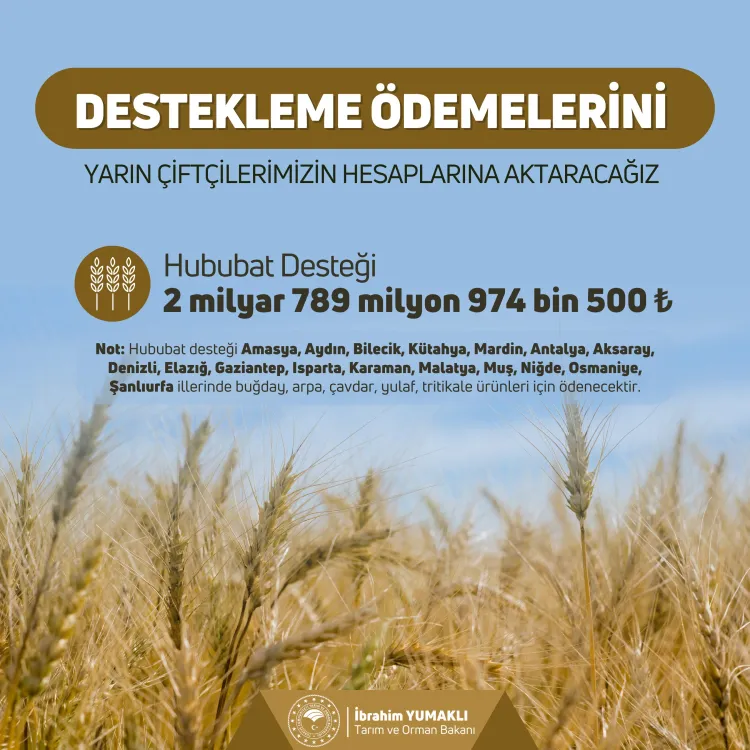 2,8 milyar TL'lik hububat desteği 21 Mart'ta hesaplarda haberi