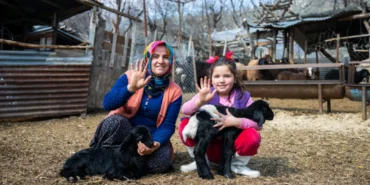 300 yetiştiriciye 7 bin 500 küçükbaş hayvan desteği haberi