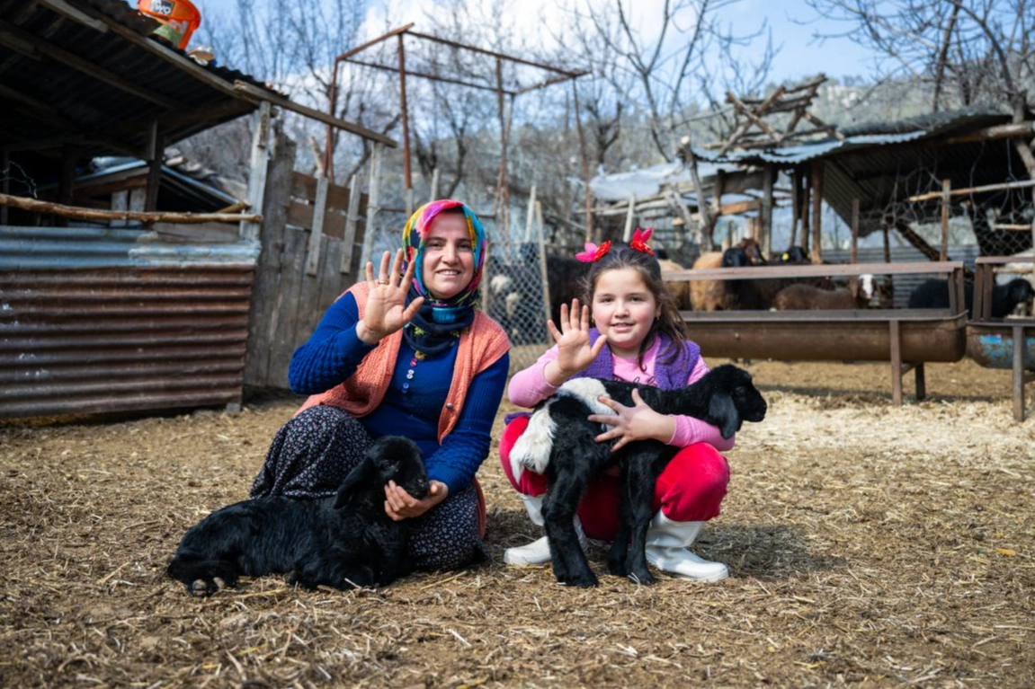 300 yetiştiriciye 7 bin 500 küçükbaş hayvan desteği haberi