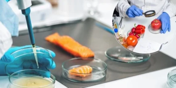 AB'nin 'Gıda Güvenliği'ne Türkiye'de katıldı… Gıda etiketi okuma alışkanlığı teşvik edilecek haberi