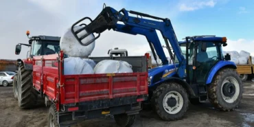 Ankara Büyükşehir'in mısır silajı desteği sürüyor haberi