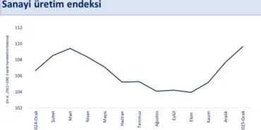 Bakan Şimşek: Ilımlı toparlanma genele yayılıyor haberi