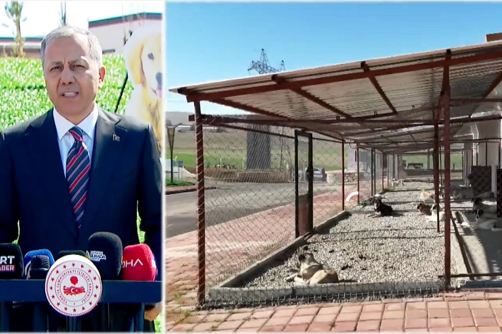 Bakan Yerlikaya Batman'dan açıkladı... Sahipsiz hayvanlarla ilgili belediyeler iki ayda bir denetlenecek haberi