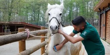 Bayramda doğanın kalbi Ormanya’da atacak haberi