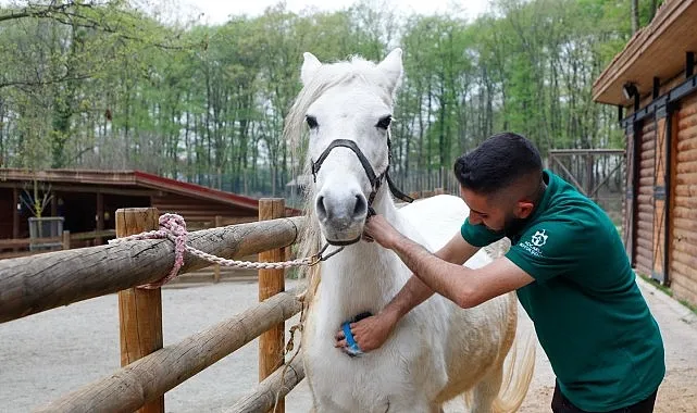 Bayramda doğanın kalbi Ormanya’da atacak haberi