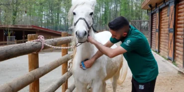 Bayramda doğanın kalbi Ormanya’da atacak haberi