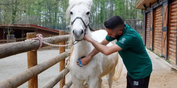 Bayramda doğanın kalbi Ormanya’da atacak haberi