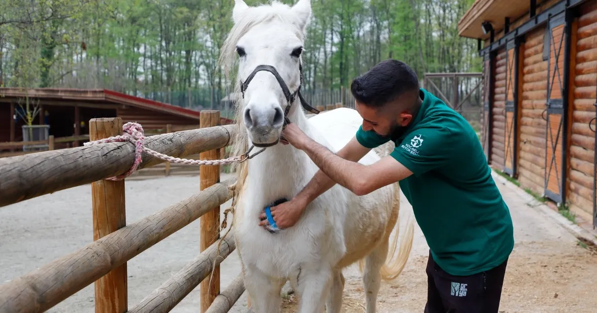 Bayramda doğanın kalbi Ormanya’da atacak haberi