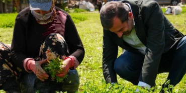 Bursa Gürsu’ya ‘Altın’ değerinde bir proje haberi