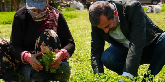 Bursa Gürsu’ya ‘Altın’ değerinde bir proje haberi