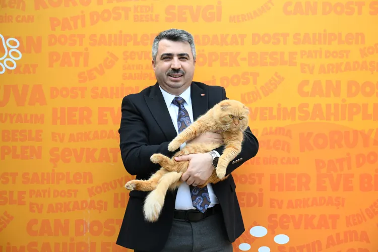 Bursa Yıldırım’da 625 patili dost sıcak yuvaya kavuştu haberi