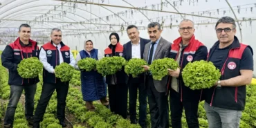 Bursa'da 'Yeşilliğe Özen Sofrada Güven' hasadı haberi