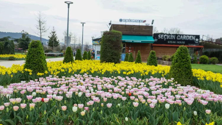 Bursa'da parklar lale ve çiçeklerle renklendi haberi