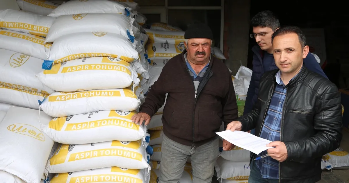 Bursa'nın dağ ilçelerine aspir tohumu dağıtıldı haberi