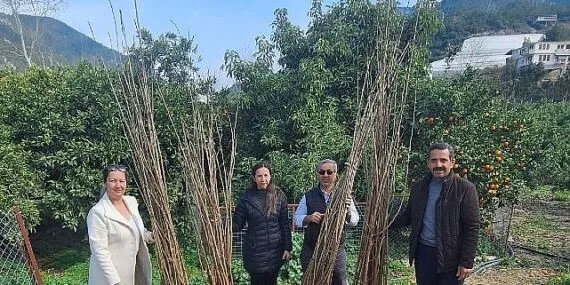 Büyükşehir’den dut fidanı desteği haberi