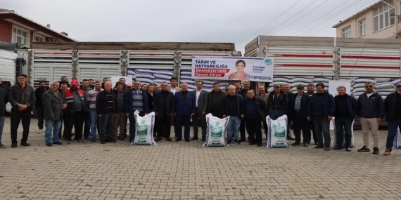 Büyükşehirden, üreticilere kuzu-oğlak yemi desteği haberi