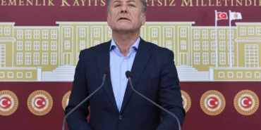 CHP'li Sarıbal: Bursa'da koruma altındaki ayıya ne oldu? haberi