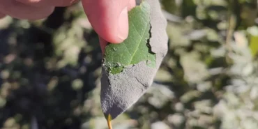 Çimento tozu 'kansere ve cilt hastalıklarına' en büyük etken! haberi