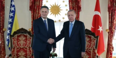 Cumhurbaşkanı Erdoğan, Becirovic'le görüştü haberi