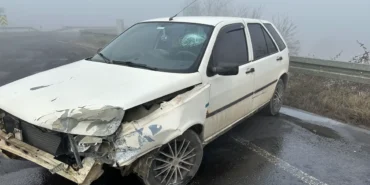 Düzce'de yoğun sis kaza getirdi! haberi