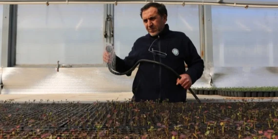 Eskişehir'in yeşil yüzü şehri süslüyor haberi